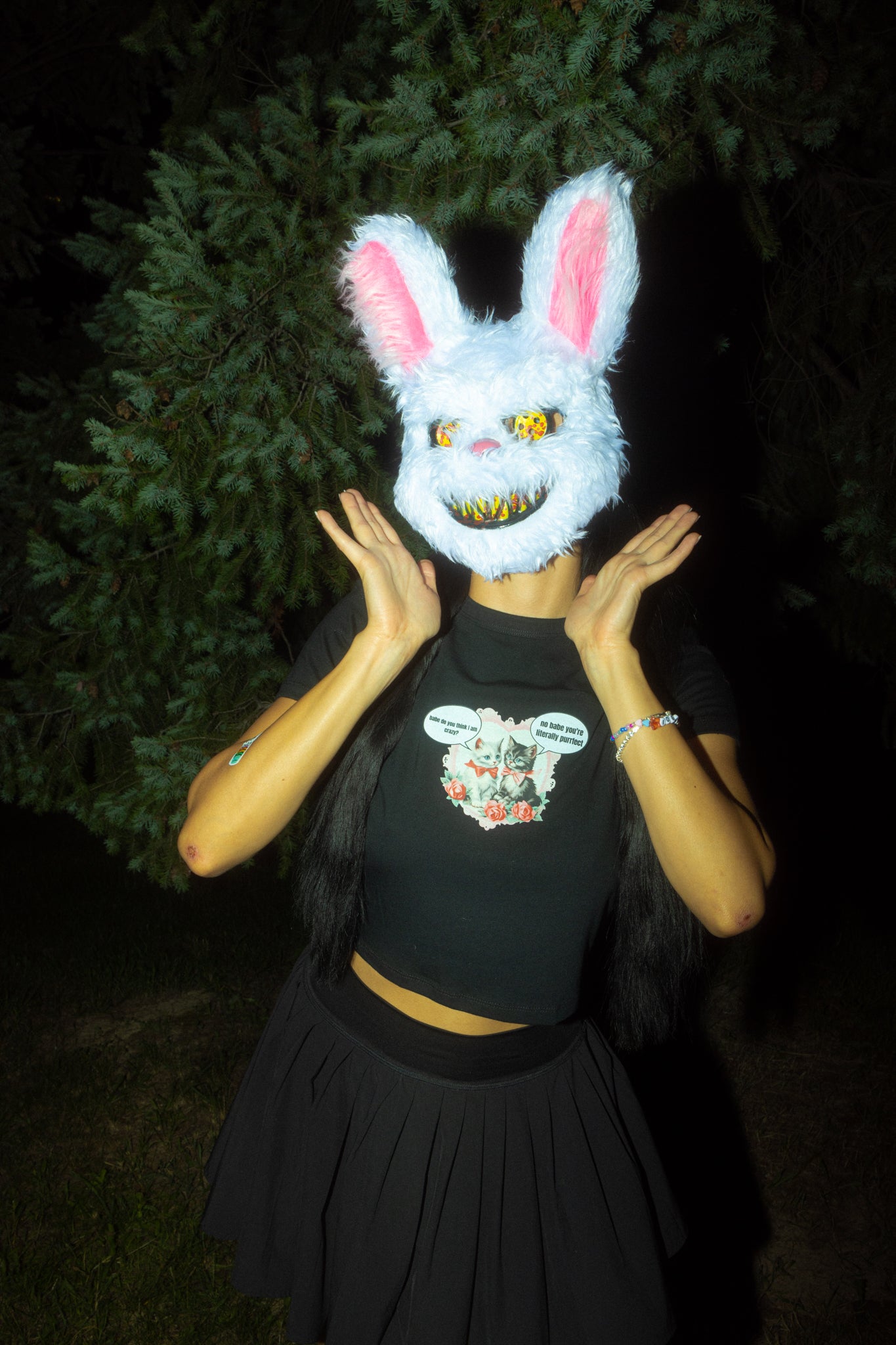 Crazy Kittens Cropped Tee